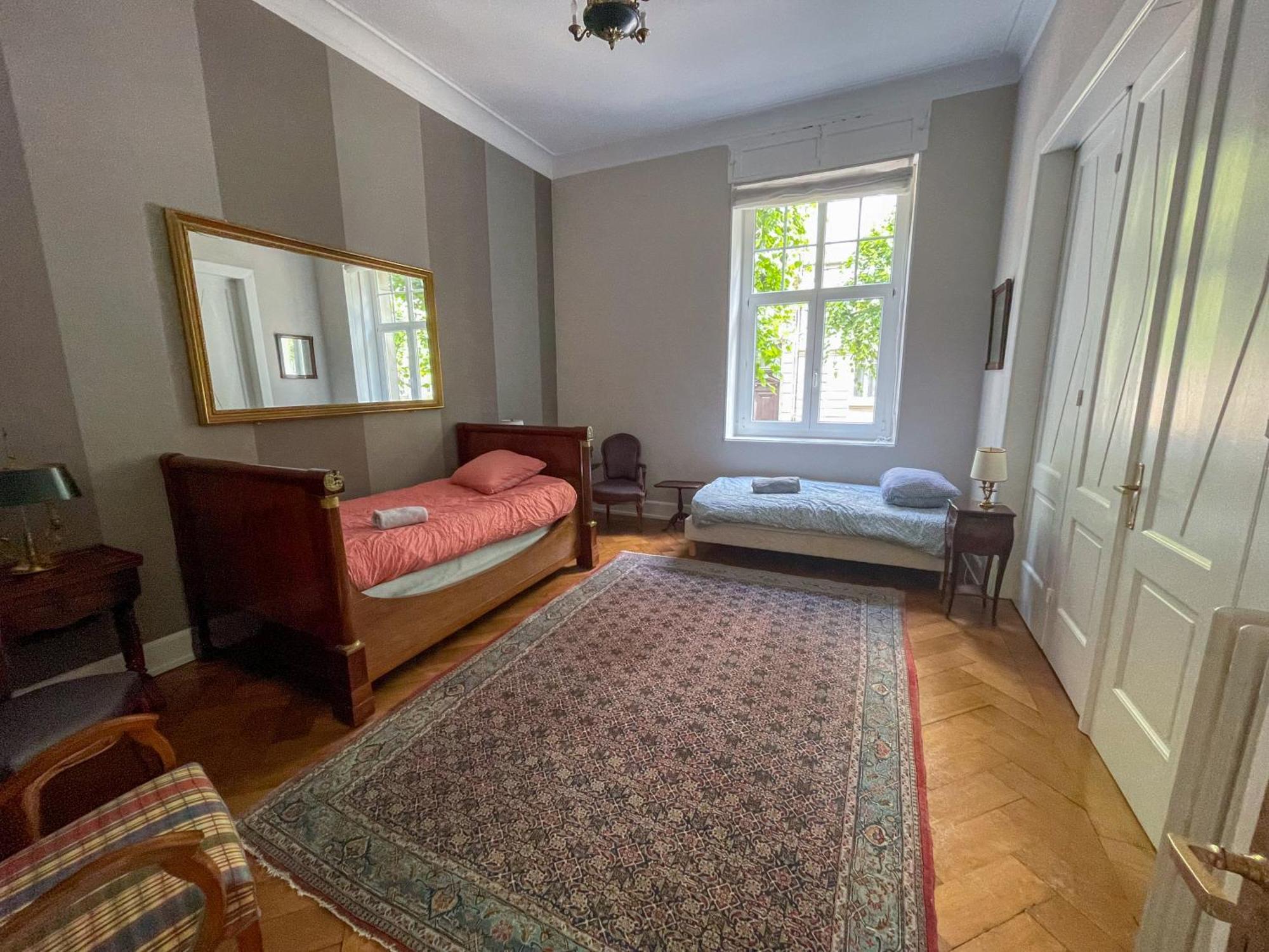 Appartement De Standing 200M² ستراسبورغ المظهر الخارجي الصورة