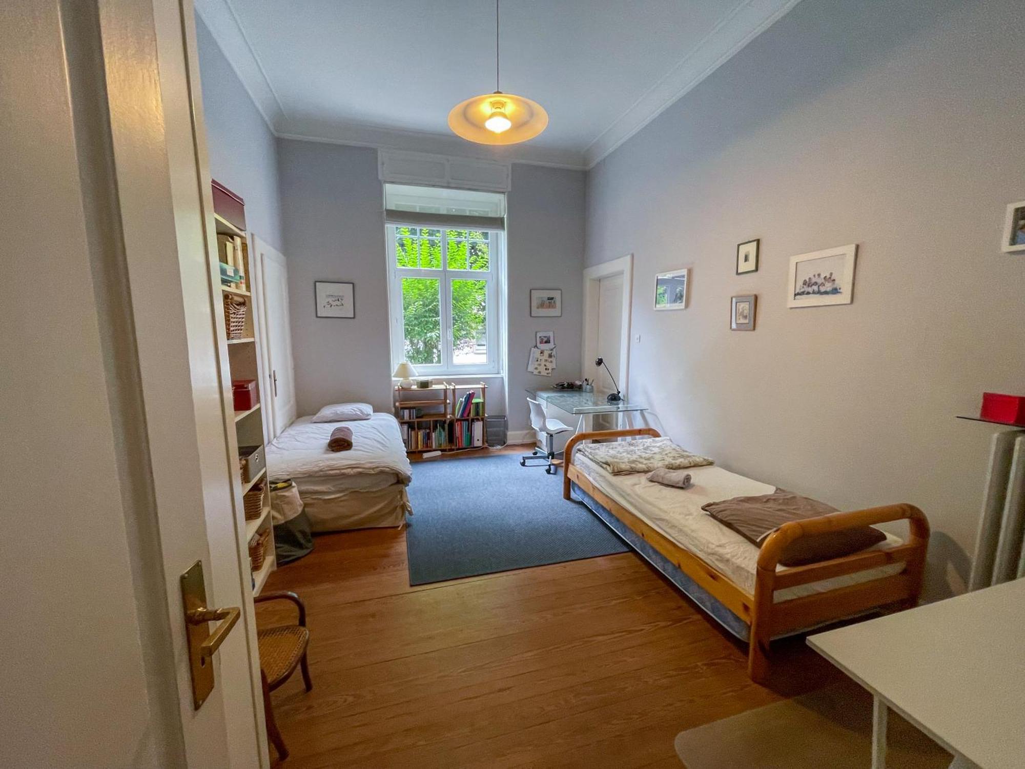 Appartement De Standing 200M² ستراسبورغ المظهر الخارجي الصورة